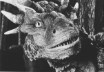 Dragonheart photo