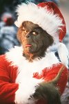 Grinch
photo