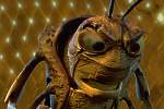 Bugs Life
photo
