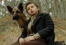 'Shepherd: The Story of a Hero Dog' Travels to Digital, Disc Feb. 14