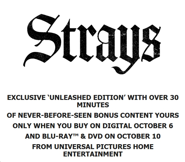 'Strays' Unleashed on Digital Oct. 6; Blu-ray & DVD Oct. 10