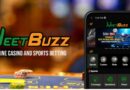 Betting With Buzz: A Jeetbuzz Deep Dive