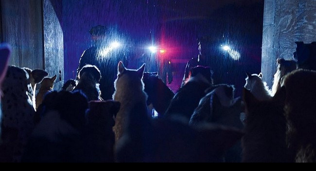 Luc Besson's 'Dogman' Barks on Premium Digital, VOD April 16
