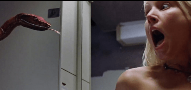 Arrow Video Announces January 2026 Release Schedule