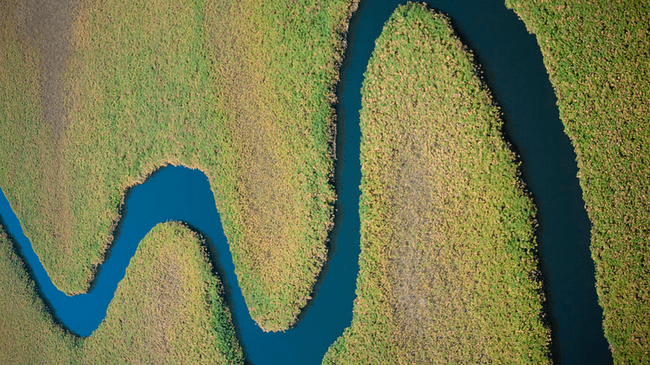 OnVideo's Guide to Streaming